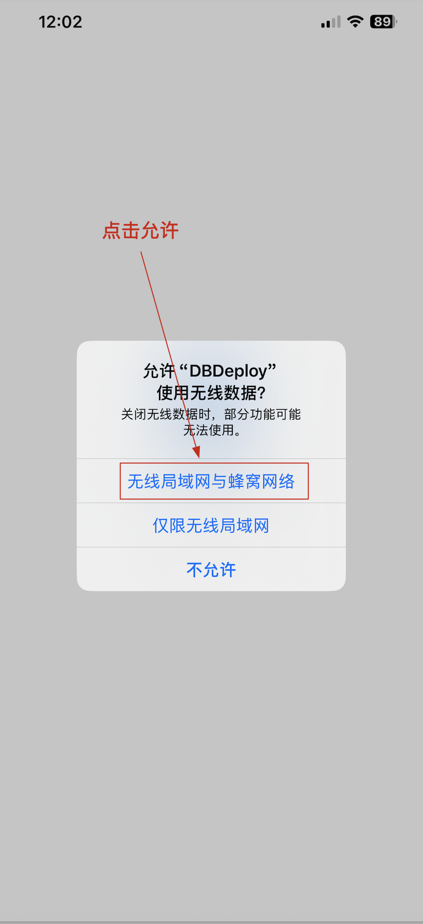 DBDeploy网络权限设置
